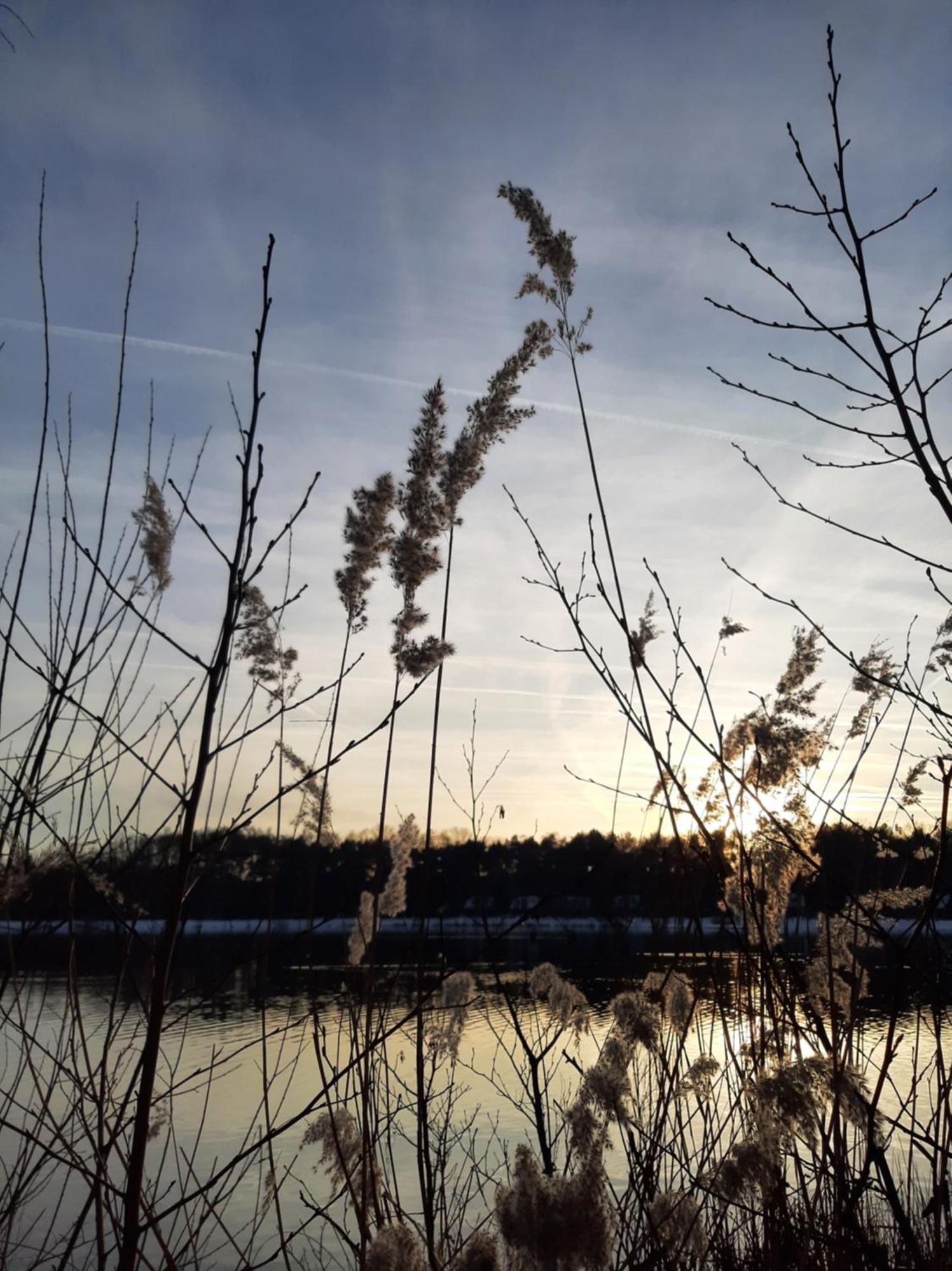 Waterlelie 34 Rekem Villa Kültér fotó