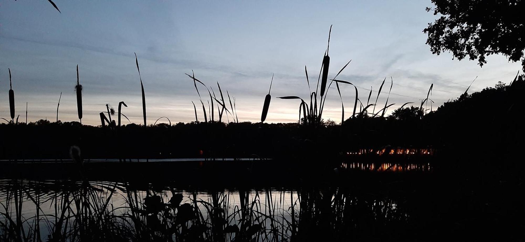 Waterlelie 34 Rekem Villa Kültér fotó