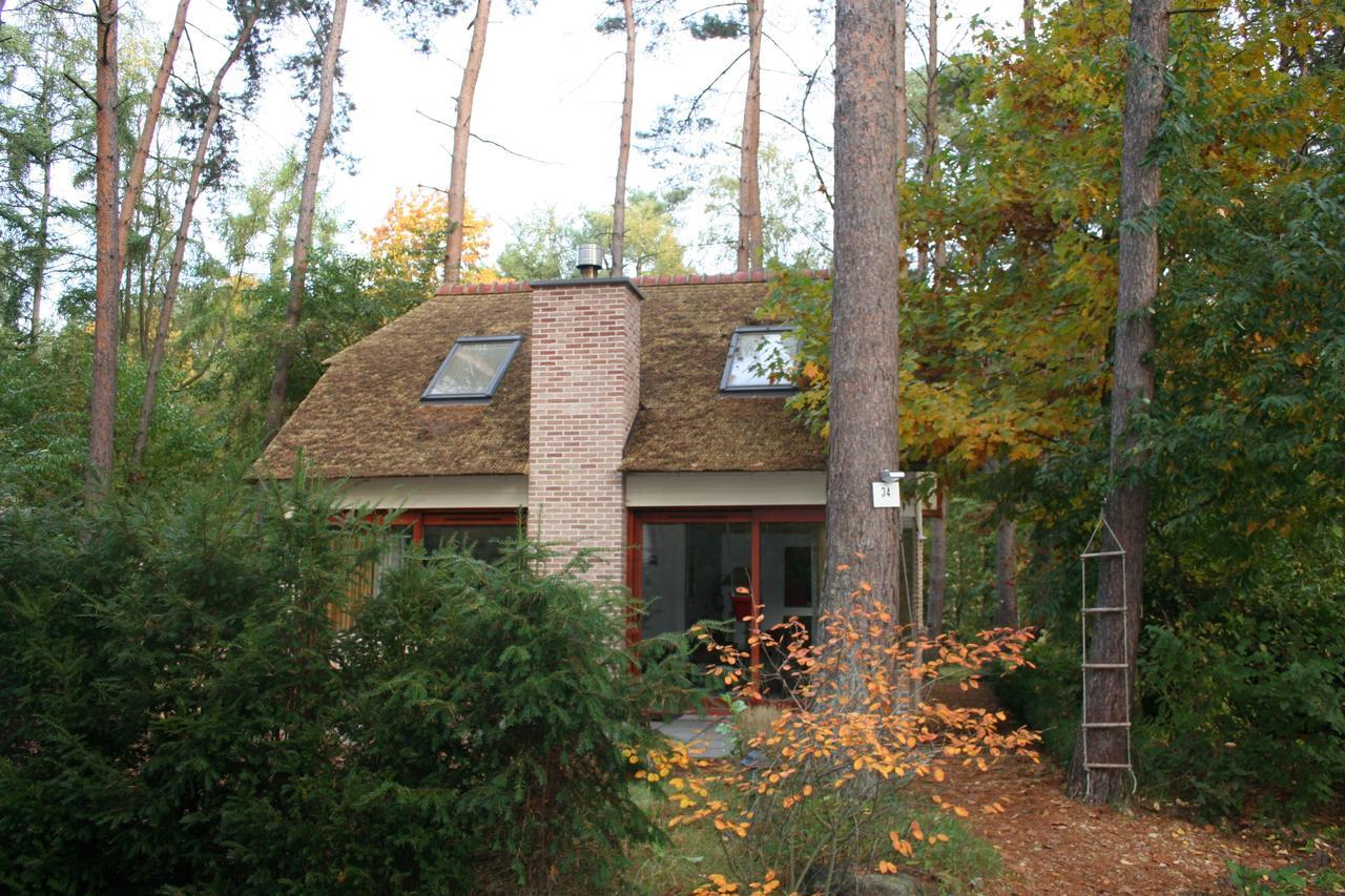 Waterlelie 34 Rekem Villa Kültér fotó
