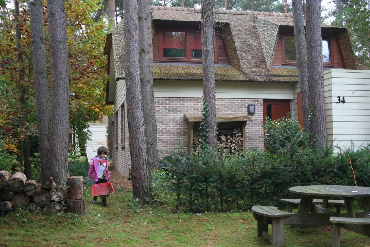 Waterlelie 34 Rekem Villa Kültér fotó